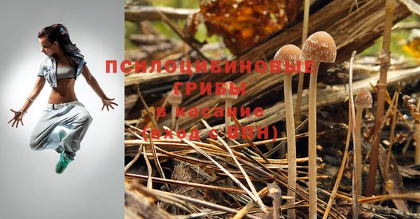 кокаин премиум Беломорск
