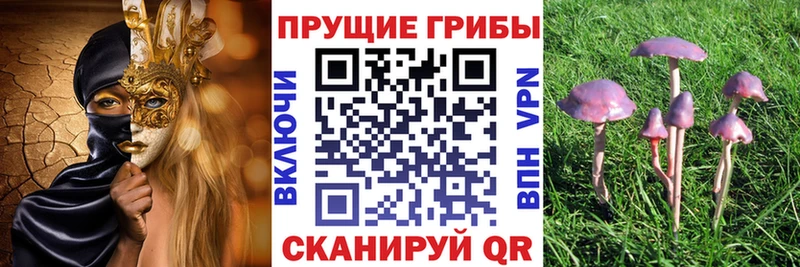Псилоцибиновые грибы Magic Shrooms  Велиж 